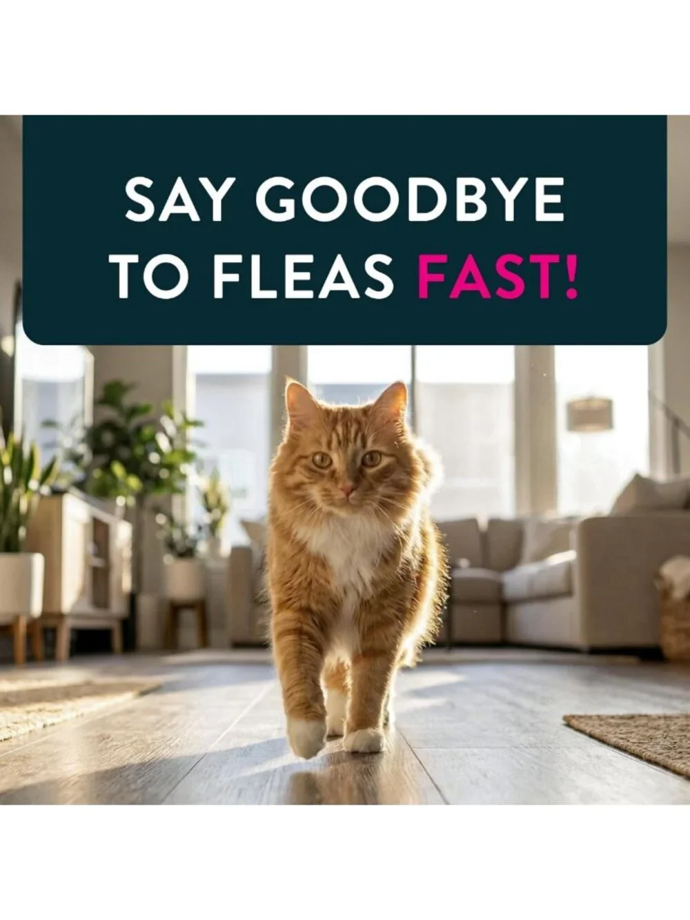 Fast-Acting Cat Flea Treatment Tablets, Vet-Recommended, Kills Fleas in 30 Min